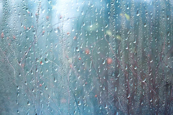 Molhado Vista Vidro Das Filiais Parque Outono Abstrato Fundo Gotas — Fotografia de Stock