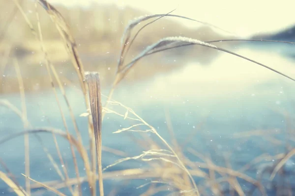 Congelación Del Río Noviembre Diciembre Paisaje Estacional Naturaleza Invierno — Foto de Stock