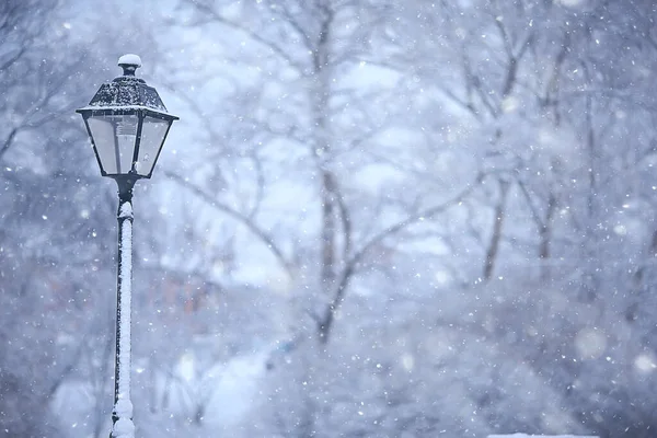 Lucerna Zimním Parku Odpoledních Hodinách Výhled Prosinci Městě — Stock fotografie