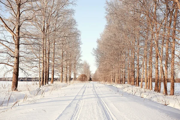 Kış yolu soyut manzara, mevsimlik patika aralık karı