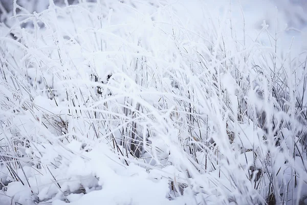 겨울의 눈덮인 아름다운 계절적 — 스톡 사진