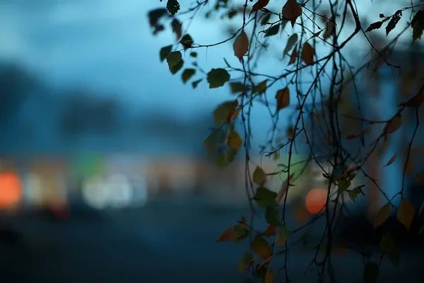 夜灯模糊了背景 黄昏秋天 抽象的城市背景 — 图库照片