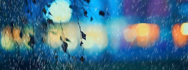 雨后公园阴沉沉的水滴 季节性的概念凄凉 — 图库照片