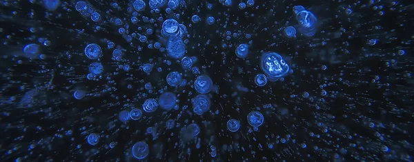 Buz kabarcıkları altında hava, soyut mevsimsel kış soğuk arka plan doğa dışında