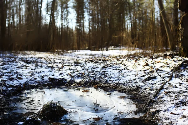 Gefrorene Pfütze Hintergrund Winter Abstrakte Saisonale Eis — Stockfoto