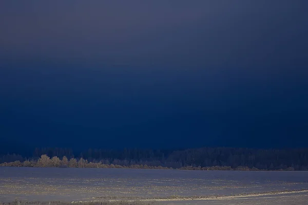 Paysage Forêt Hiver Saisonnier Belle Vue Dans Forêt Enneigée Décembre — Photo