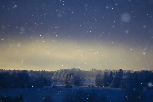 Paisaje Bosque Invierno Estacional Hermosa Vista Bosque Nevado Diciembre Naturaleza — Foto de Stock