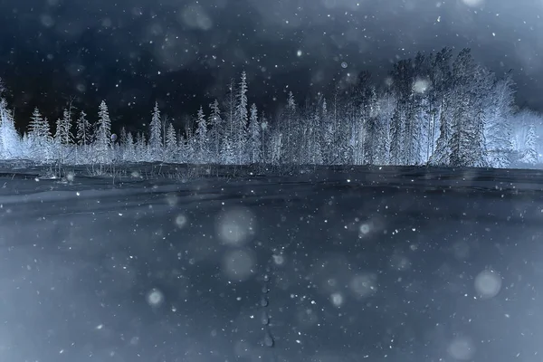 Bosque Nocturno Paisaje Navideño Noche Año Nuevo Bosque Nevado — Foto de Stock