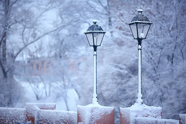 Lanterne Dans Parc Hiver Dans Après Midi Une Vue Décembre — Photo