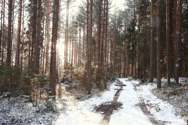 Kış yolu soyut manzara, mevsimlik patika aralık karı