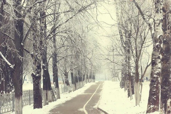 Landscape Winter Forest Seasonal Beautiful View Snowy Forest December Nature — Stock Photo, Image