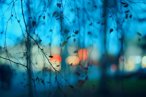 Evening Lights Blurred Background Bokeh Autumn Abstract City Background Autumn — Stock Photo, Image