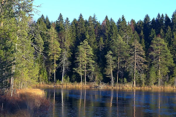 Congelación Del Río Noviembre Diciembre Paisaje Estacional Naturaleza Invierno —  Fotos de Stock