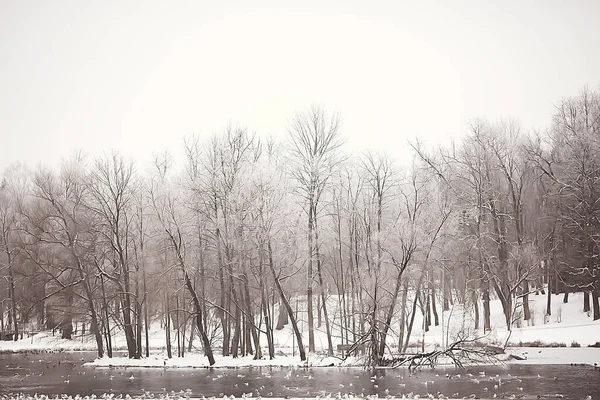 November Park Landschap Kerst Sneeuw Weer Een Stadspark Met Een — Stockfoto