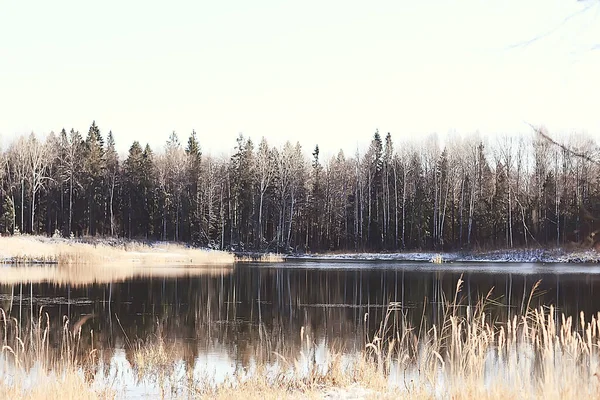 Kış orman manzarası karla kaplı, Aralık noeli doğa beyaz arka plan