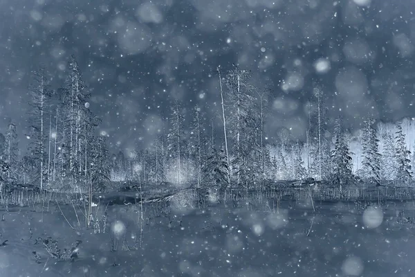 Bosque Nocturno Paisaje Navideño Noche Año Nuevo Bosque Nevado —  Fotos de Stock