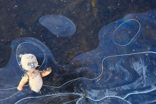 Doll Broken Horror Winter Frost Ice Background Fear Abandoned Lost — Stock Photo, Image