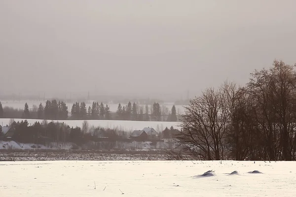 Landscape Winter Forest Seasonal Beautiful View Snowy Forest December Nature — Stock Photo, Image