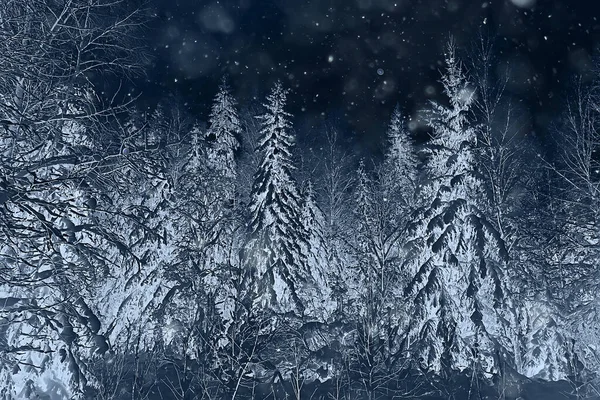 Bosque Nocturno Paisaje Navideño Noche Año Nuevo Bosque Nevado —  Fotos de Stock