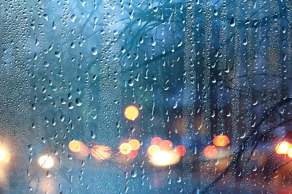 Dalların ıslak cam manzarası sonbaharda park yeri, soyut arkaplan damlaları Kasım akşamında pencere kenarında