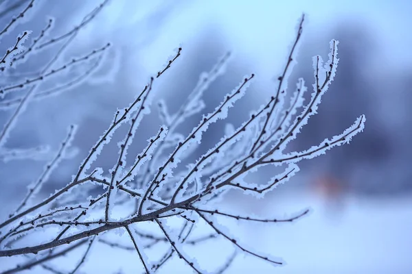Κλαδιά Καλυμμένα Φόντο Hoarfrost Αφηρημένο Τοπίο Χιόνι Χειμώνα Φύση Παγετός — Φωτογραφία Αρχείου
