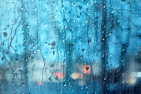 Мокрий Скляний Вид Гілки Парку Осінь Абстрактний Фон Падає Вікно — стокове фото