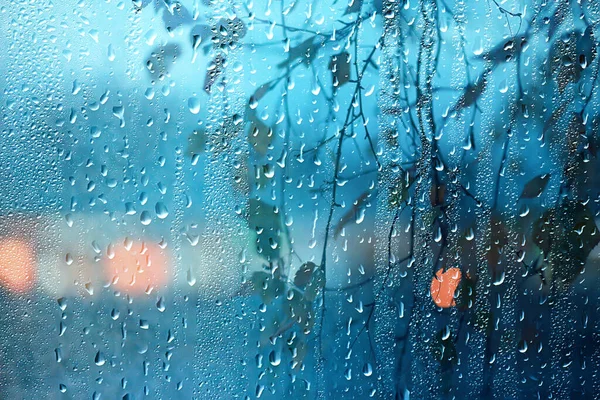 wet glass view of branches park autumn, abstract background drops on the window evening november