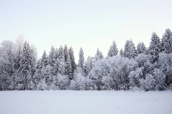 Paisaje Bosque Invierno Estacional Hermosa Vista Bosque Nevado Diciembre Naturaleza — Foto de Stock