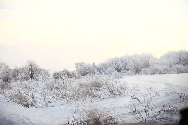 Paisagem Floresta Inverno Sazonal Bela Vista Floresta Nevada Dezembro Natureza — Fotografia de Stock