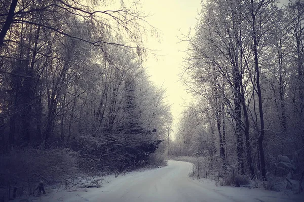 Winter Waldlandschaft Mit Schnee Bedeckt Dezember Weihnachten Natur Weißer Hintergrund — Stockfoto