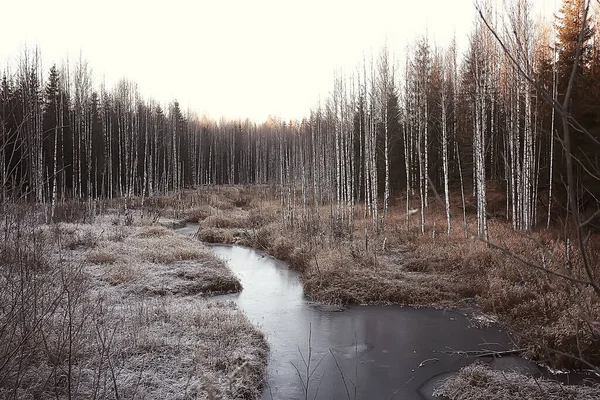 Замерзання Річки Грудень Сезонний Пейзаж Взимку — стокове фото