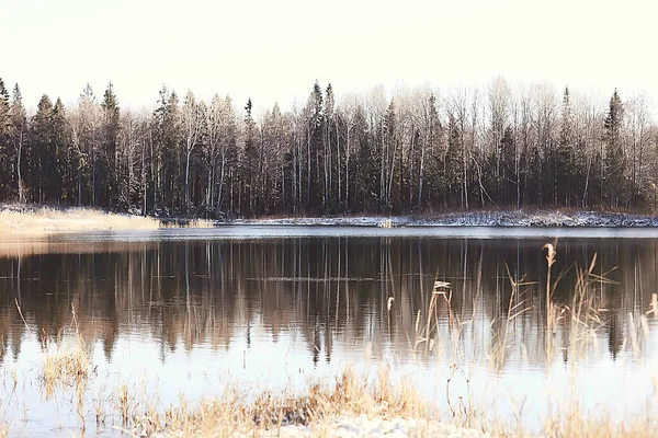 Kış orman manzarası karla kaplı, Aralık noeli doğa beyaz arka plan