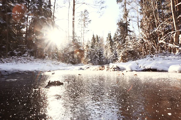 Inverno Paisagem Florestal Coberta Neve Dezembro Natal Natureza Fundo Branco — Fotografia de Stock