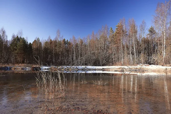 十一月的公园风景 圣诞节的雪天 在一个有池塘的城市公园里 — 图库照片