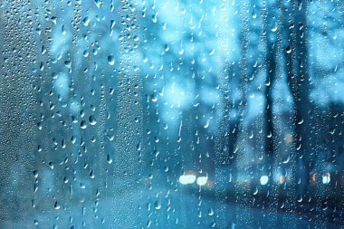 Dalların ıslak cam manzarası sonbaharda park yeri, soyut arkaplan damlaları Kasım akşamında pencere kenarında