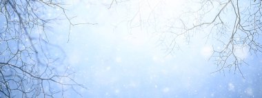 Kar taneleri kış dalları soyut arka plan, tatil yeni yıl, soğuk hava karı