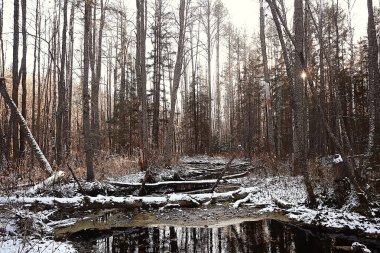 Kasım Park manzarası, Noel kar havası, göleti olan bir şehir parkı.