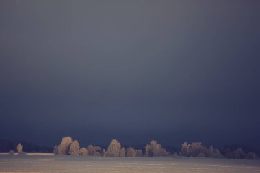 manzara kış ormanı, mevsimlik güzel manzara karlı orman aralık doğa