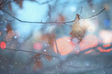 Soyut kar arka planda bulanık şehir ışıkları, kış tatili yeni yıl