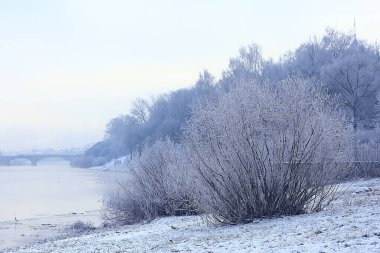 Toprak zemini ile kaplanmış dallar, soyut manzara kar, kış soğuğu.