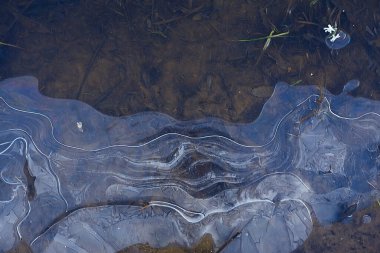 desen buz sonbaharı, soyut buz gibi soğuk arkaplan
