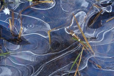 desen buz sonbaharı, soyut buz gibi soğuk arkaplan