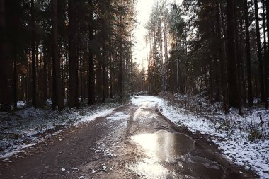 Kasım Park manzarası, Noel kar havası, göleti olan bir şehir parkı.
