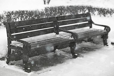 Şehir parkındaki manzara tezgahı Kış ayazı, Noel sabahı şehirde
