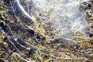 donmuş su birikintisi arka planı, kışın soyut mevsimsel buz