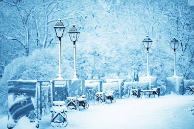 Şehir parkındaki manzara tezgahı Kış ayazı, Noel sabahı şehirde