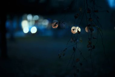 Akşam ışıkları arka planı bulanıklaştırdı. Sonbahar, soyut şehir arka planı, sonbahar.