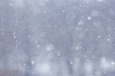 Bulanık arka plan kar yağışı doğası, soyut düşen kar taneleri tasarımı
