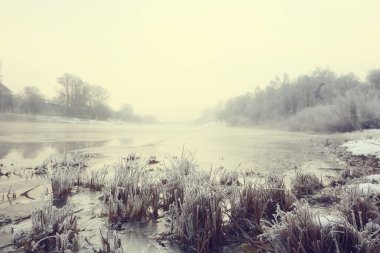Toprak zemini ile kaplanmış dallar, soyut manzara kar, kış soğuğu.