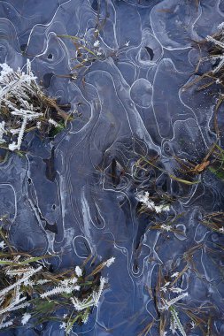 desen buz sonbaharı, soyut buz gibi soğuk arkaplan